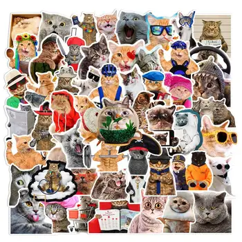 Етикети с котки 66 бр., етикети с малки котенками, сладки стикери с животни за бутилки с вода, калъф за лаптоп, телефон, скейтборд, велосипед, мотоциклет